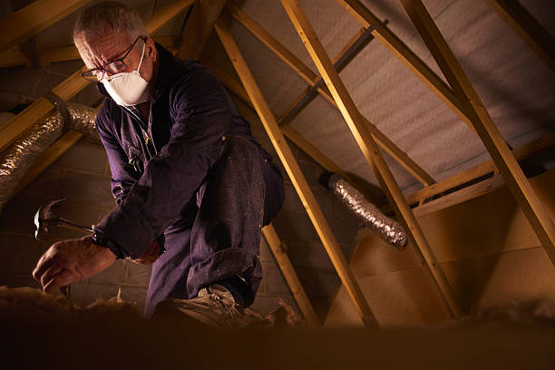 Best Geographic-Specific Insulation Services in Three Lakes, FL