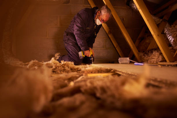 Best Insulation Maintenance and Repair in Three Lakes, FL